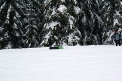 Alta Val Badia (146), Claudia R (45), Sci Alpino (290)